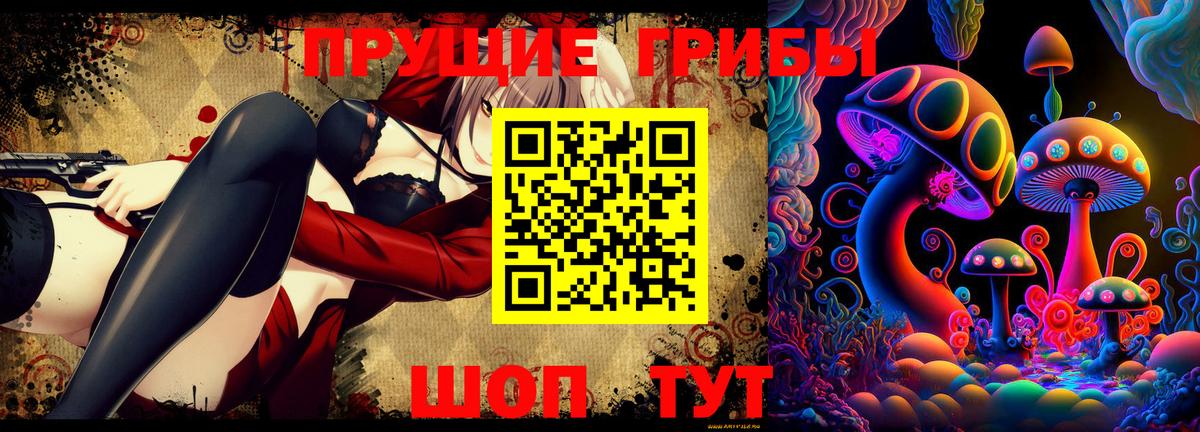 Кольчугино  Галлюциногенные грибы Psilocybine cubensis  Вход с VPN 